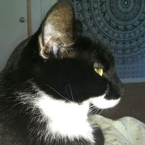 Meet your Posher, Mariah